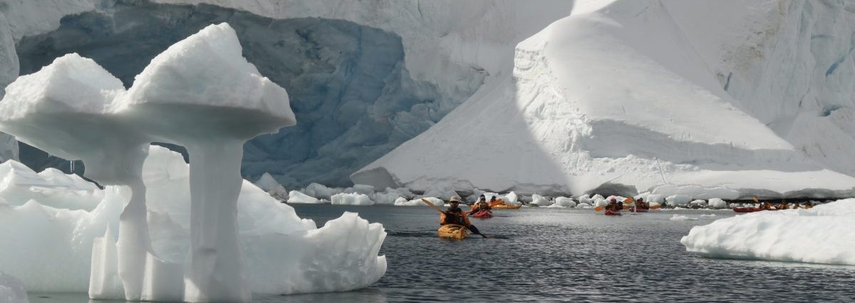 Where in the world are you Diane?